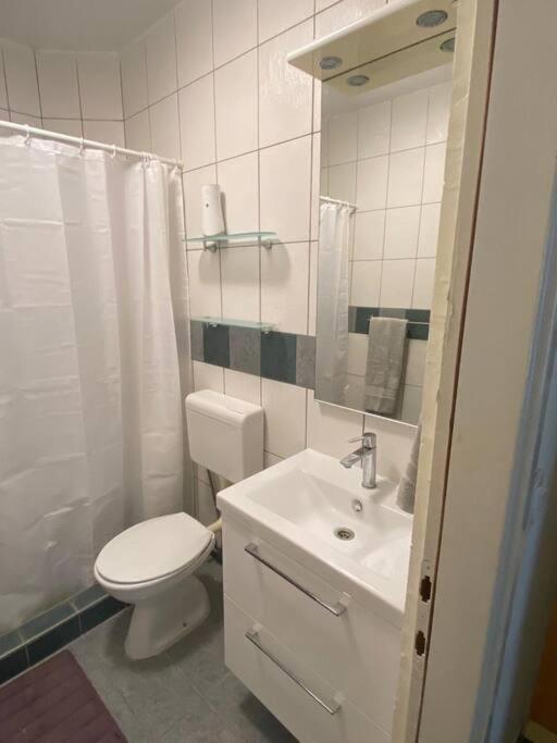 Studio Apartment Luxe- 10Min To Old Town دوبروفينك المظهر الخارجي الصورة